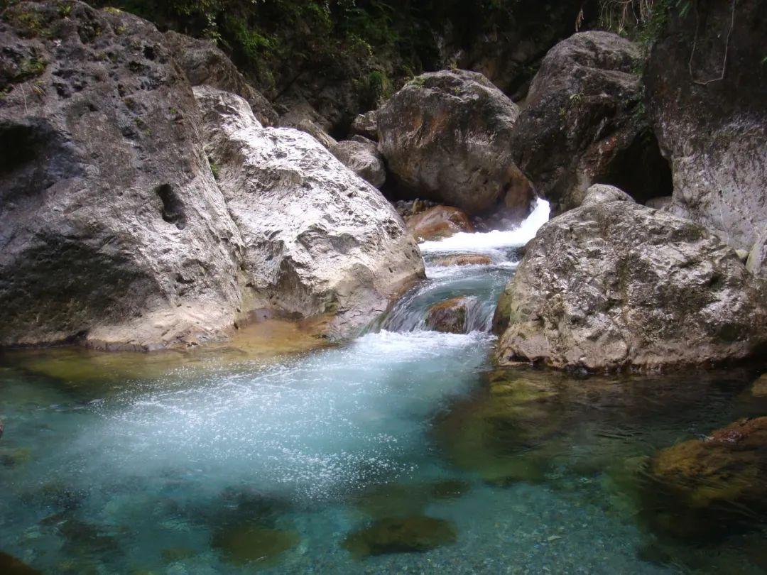 水浒传:朝廷即将招安梁山,陈太尉亲自向同僚询问招安事宜-知识星球平台